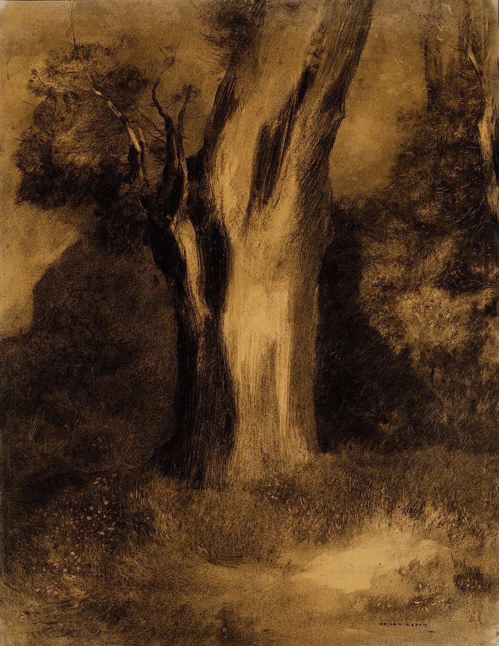 Tree by Odilon Redon