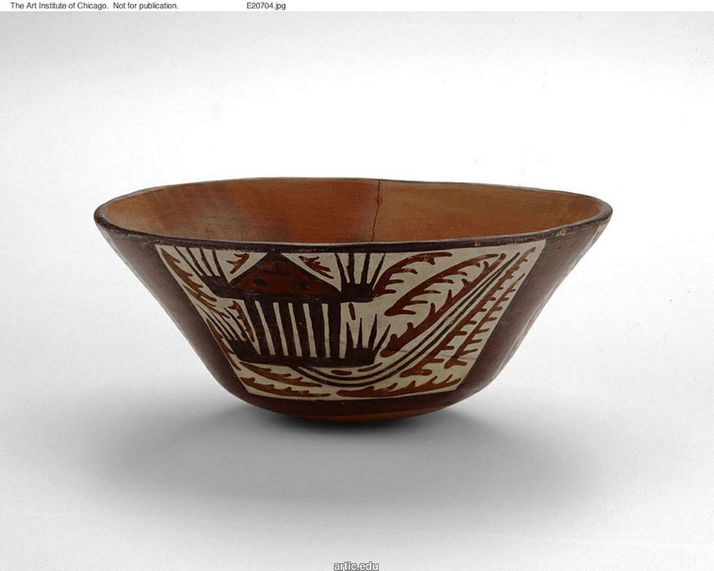 Open Bowl with Areas Depicting Abstract Plants and Animal Motifs by Nazca