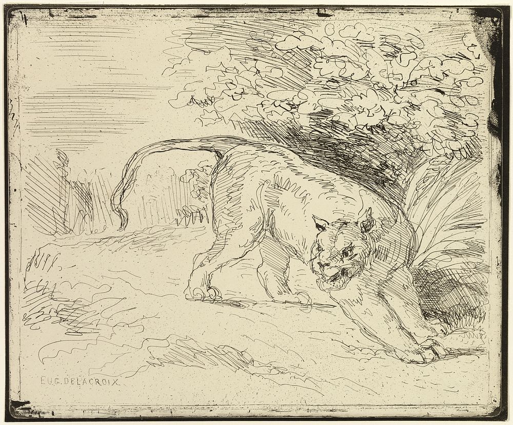 Tiger Ready to Spring by Eugène Delacroix