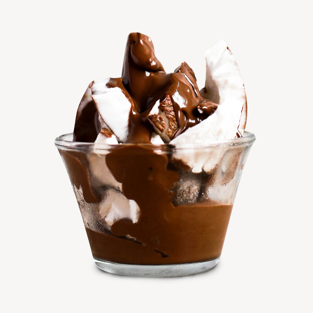 Coconut chocolate dessert isolated image