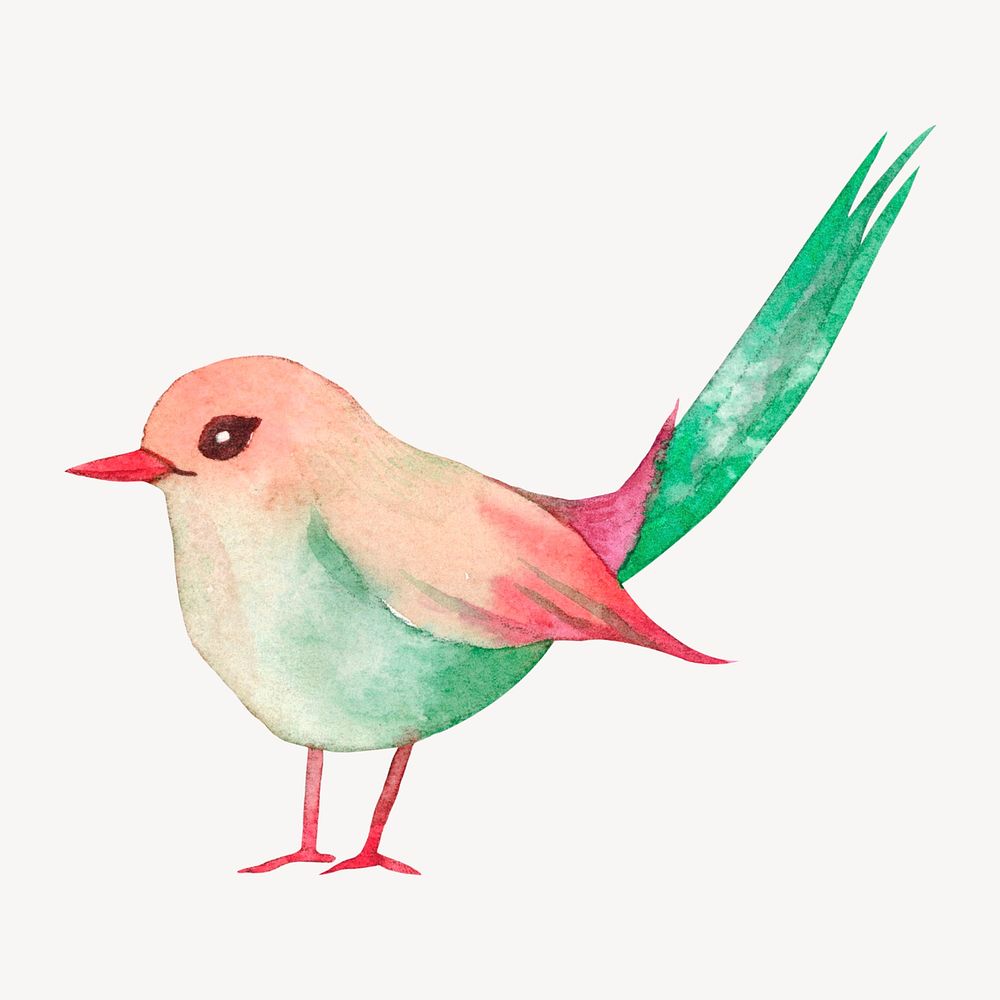 Colorful bird watercolor clipart, animal psd