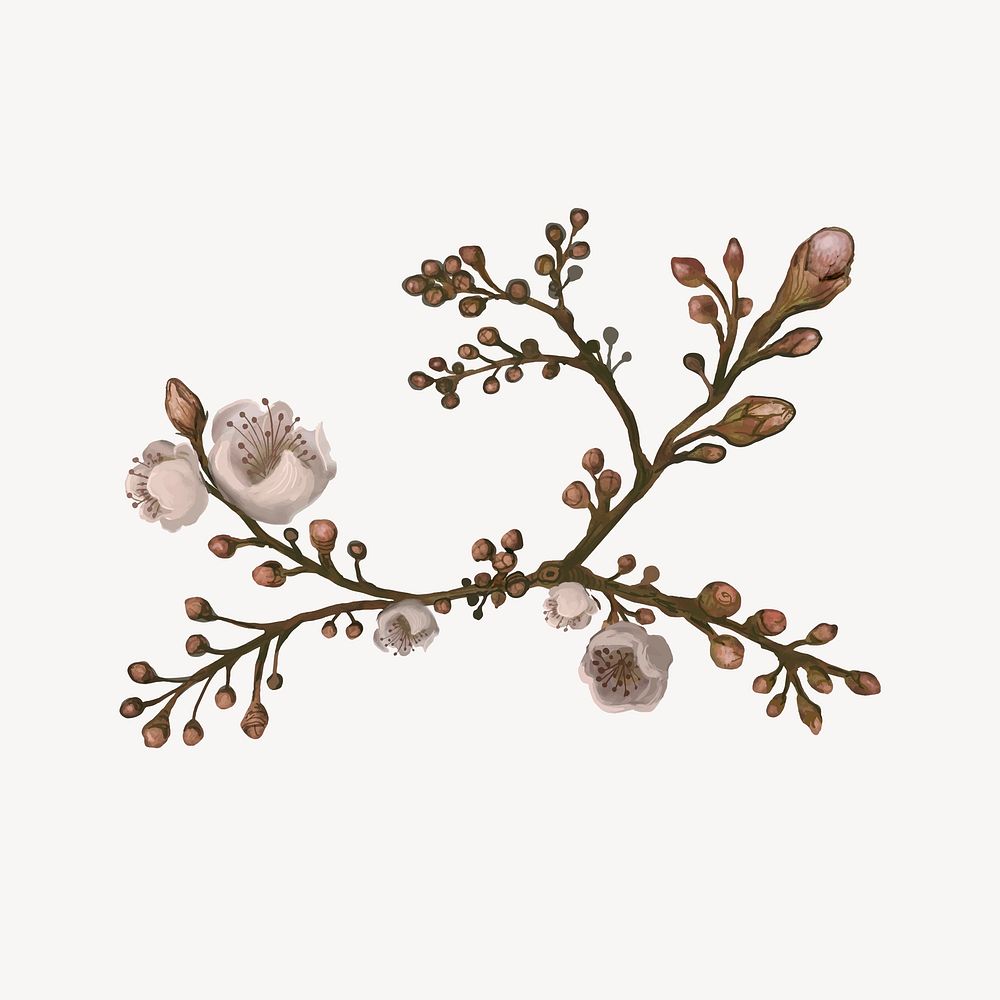 Sakura tree branch, botanical collage element psd