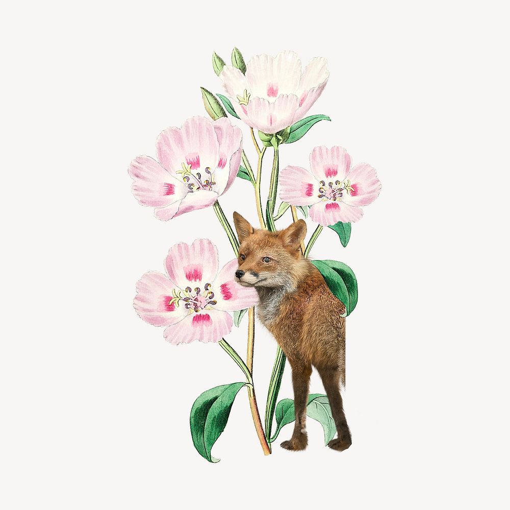 Floral fox, animal & nature remix psd