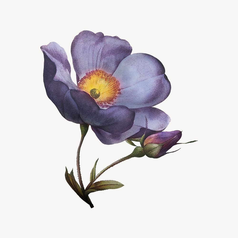 Vintage purple flower illustration psd