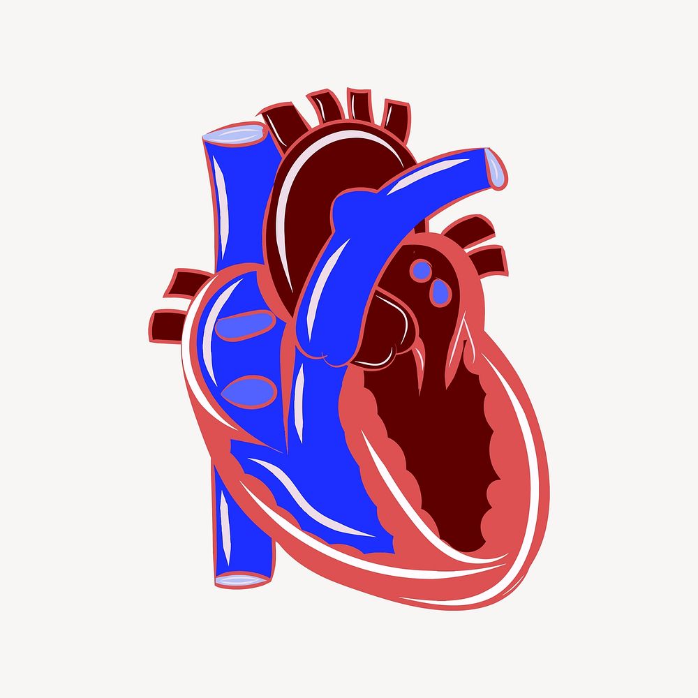 Heart clipart vector. Free public domain CC0 image.