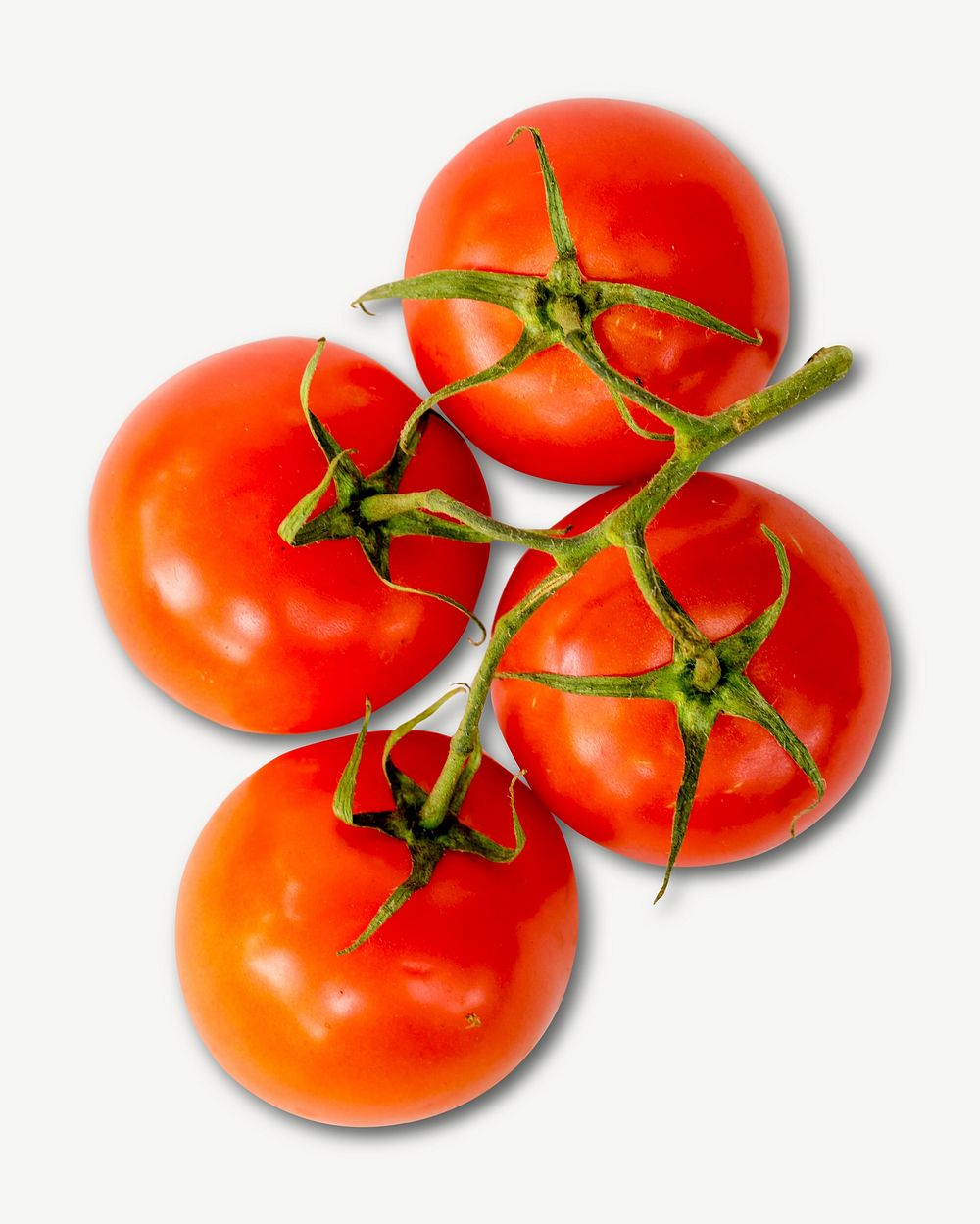 Tomatoes vegetable collage element psd