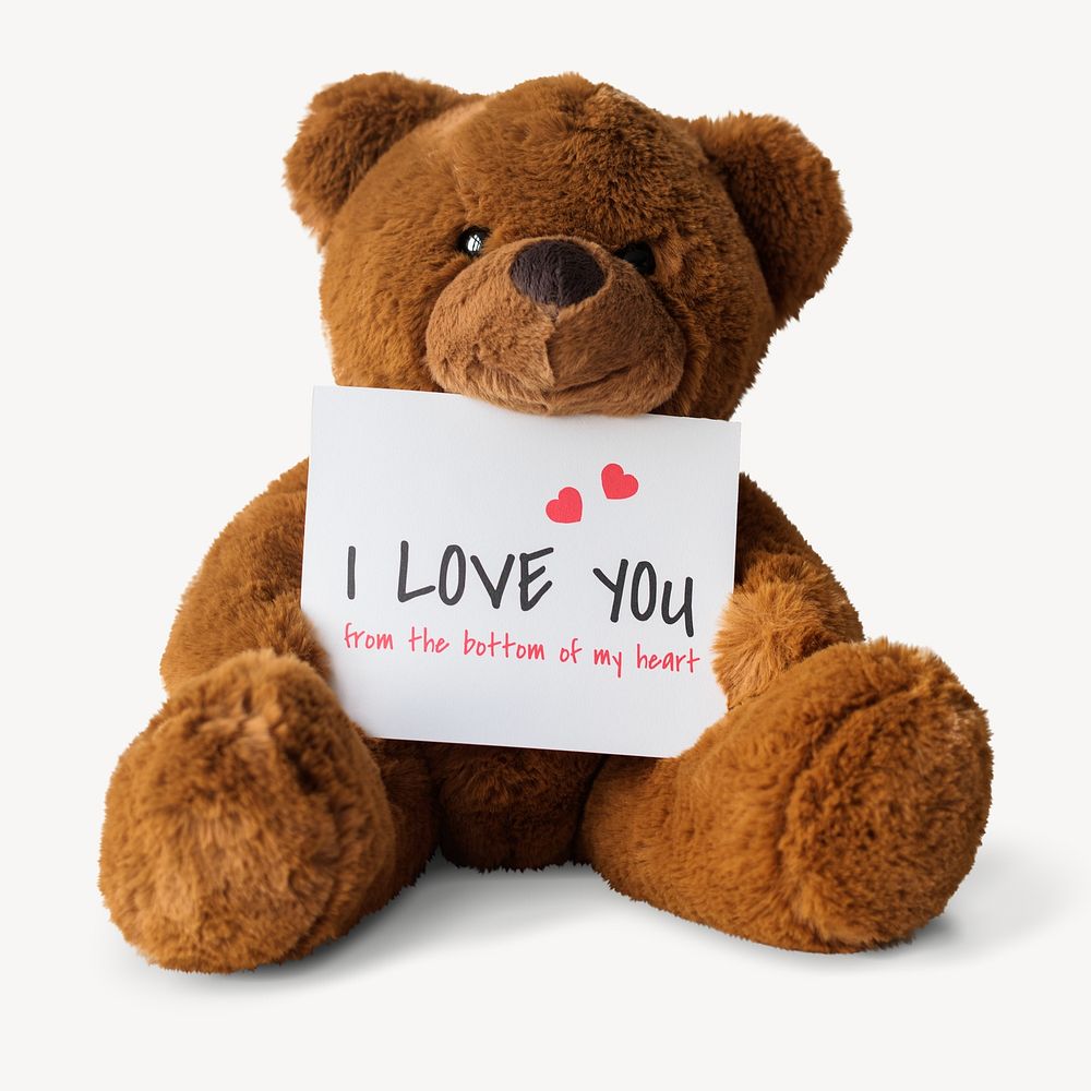 Valentine's day bear isolated image