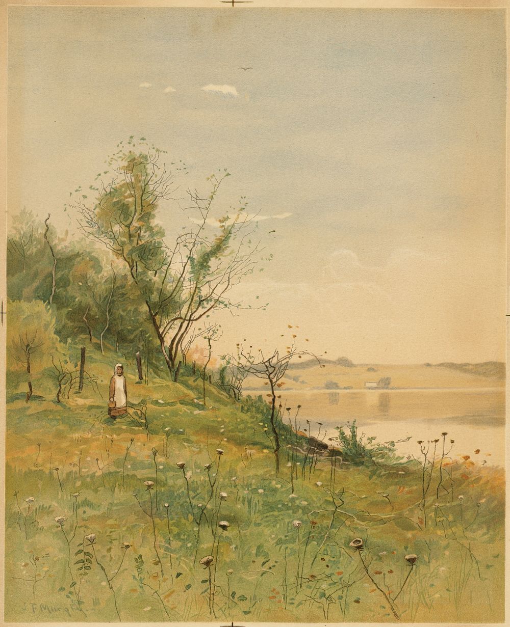             Spring landscape          