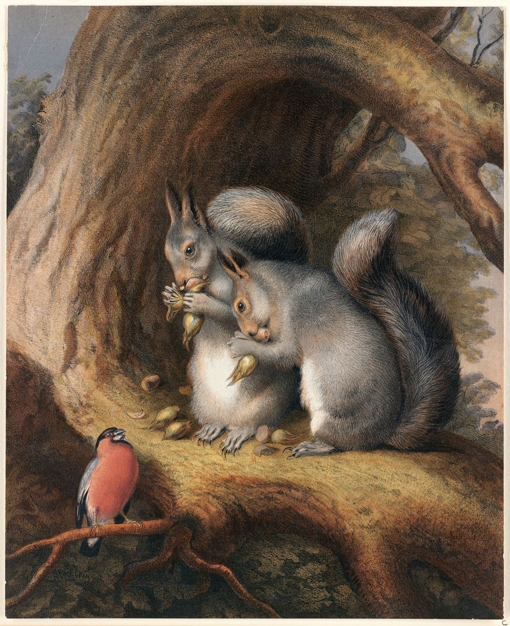             The squirrels and bird under a tree          