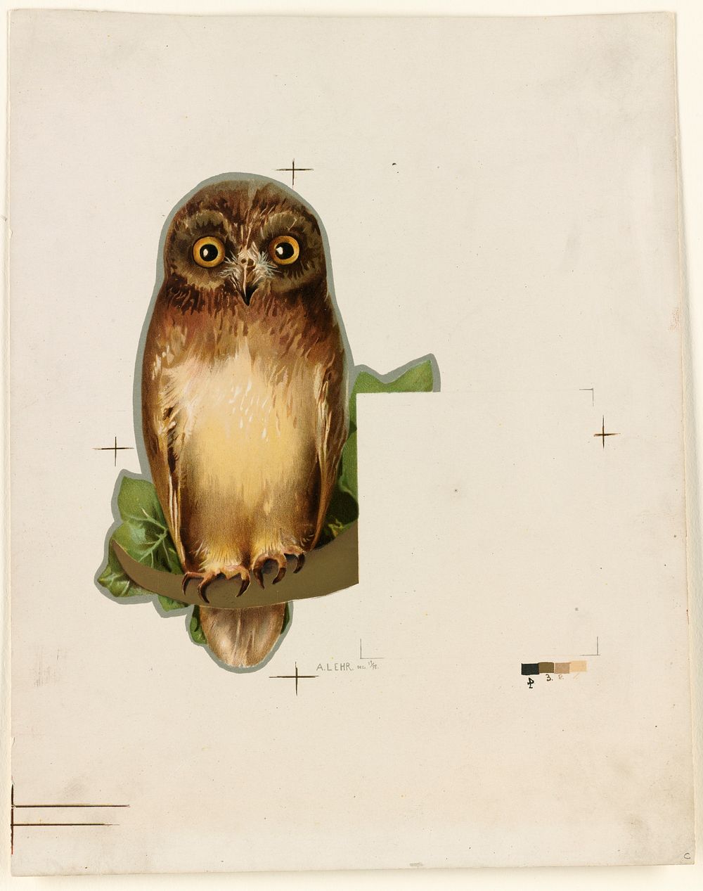             Owl          