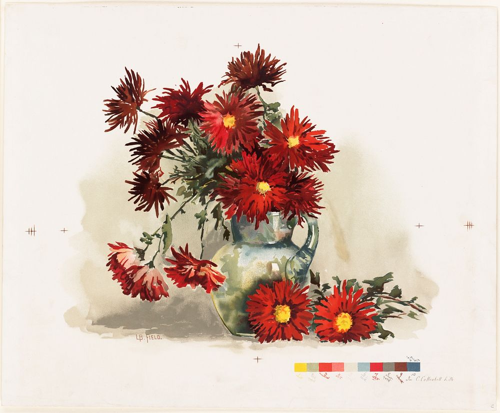             Chrysanthemums          