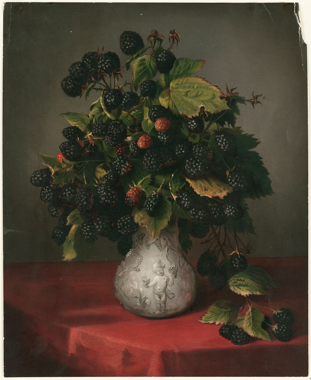             Blackberries in a vase          