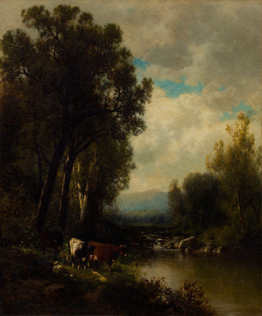 Cattle on the River