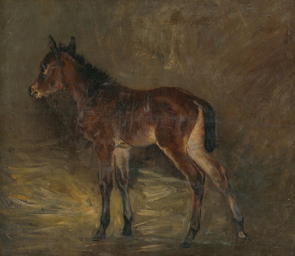 Foal by László Mednyánszky