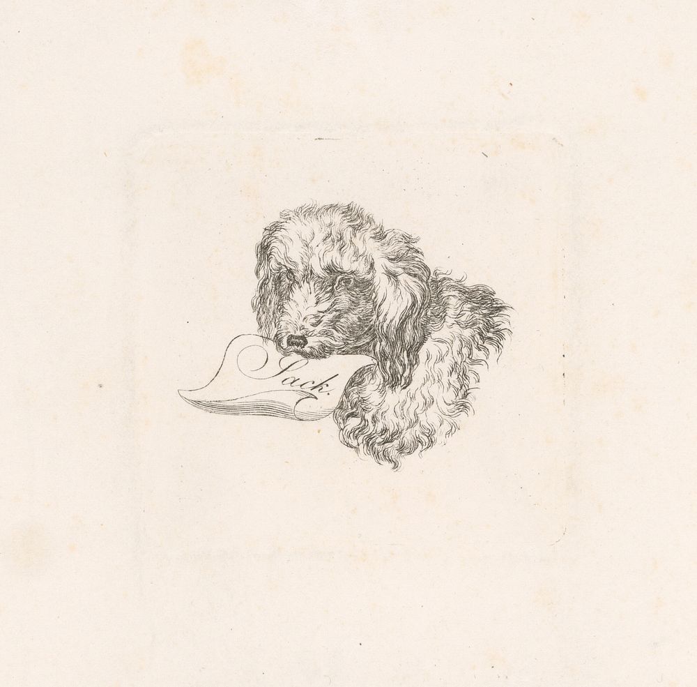 Dog with a letter