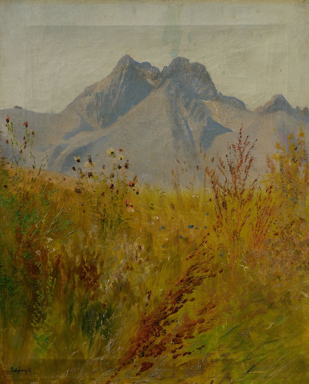 Lomnický peak by László Mednyánszky