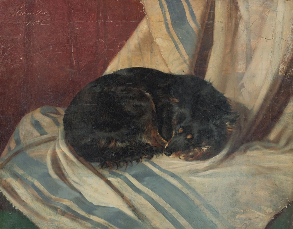 Study of a dog lying down  by Friedrich Carl von Scheidlin
