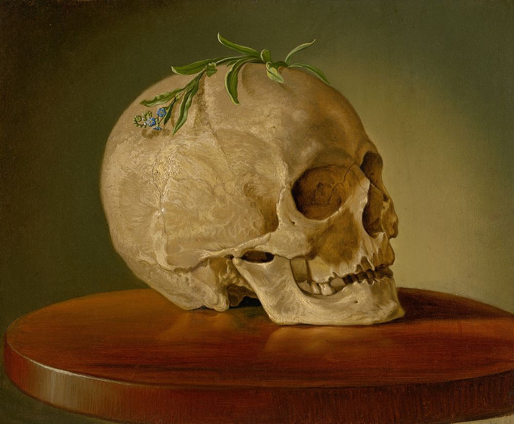 Still life with a skull and a forget-me-not, František Klimkovič