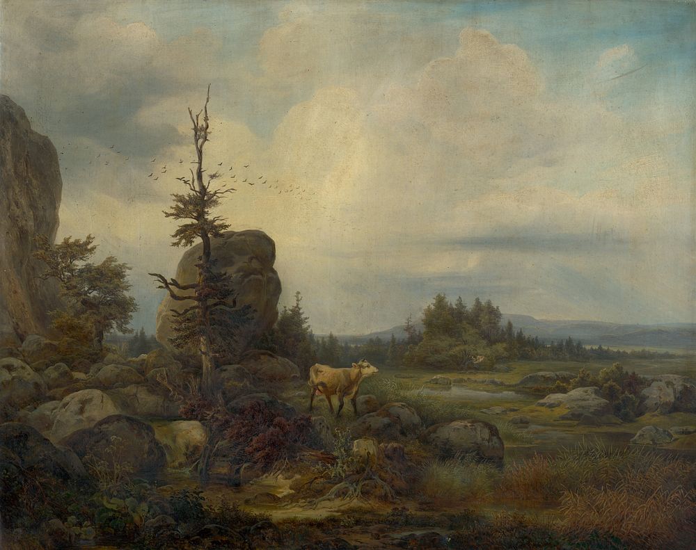 Rocky landscape by Melchior Fritsch