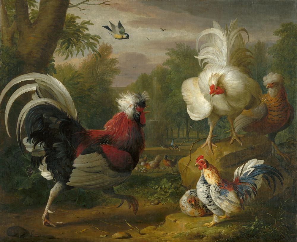 The cockrel's fight, Jakub Bogdan