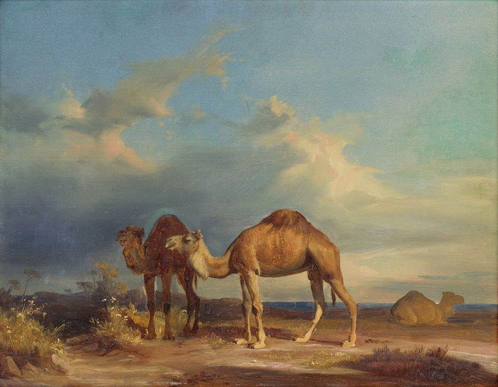 Camels in a southern landscape, Karol Marko St