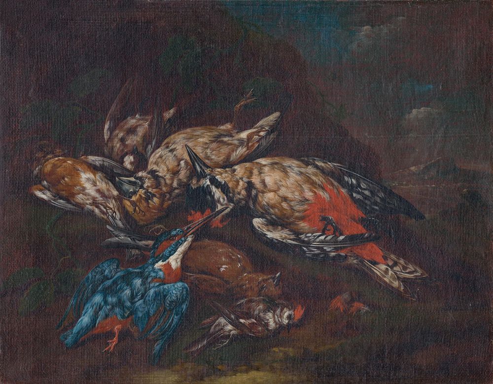 Still life with dead birds, Franz Michael Siegmund Von Purgau