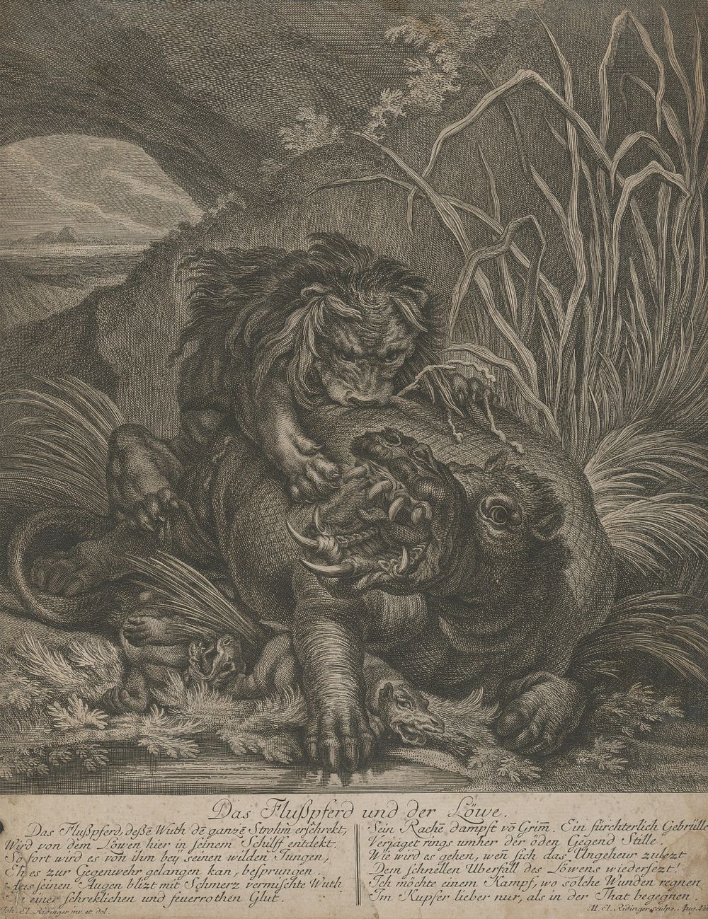 Water horse and lion, Johann Elias Ridinger