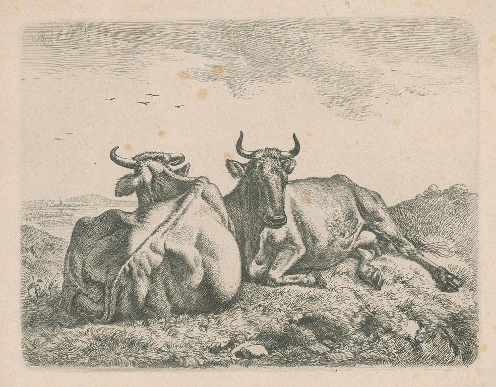 Lying cows, Johann Adam Klein