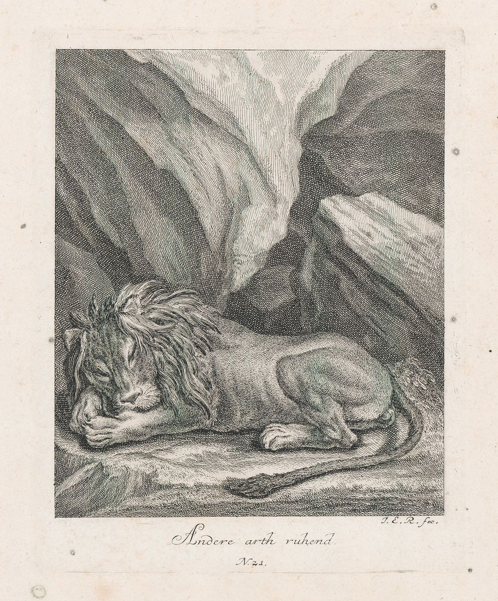 Sleeping lion, Johann Elias Ridinger