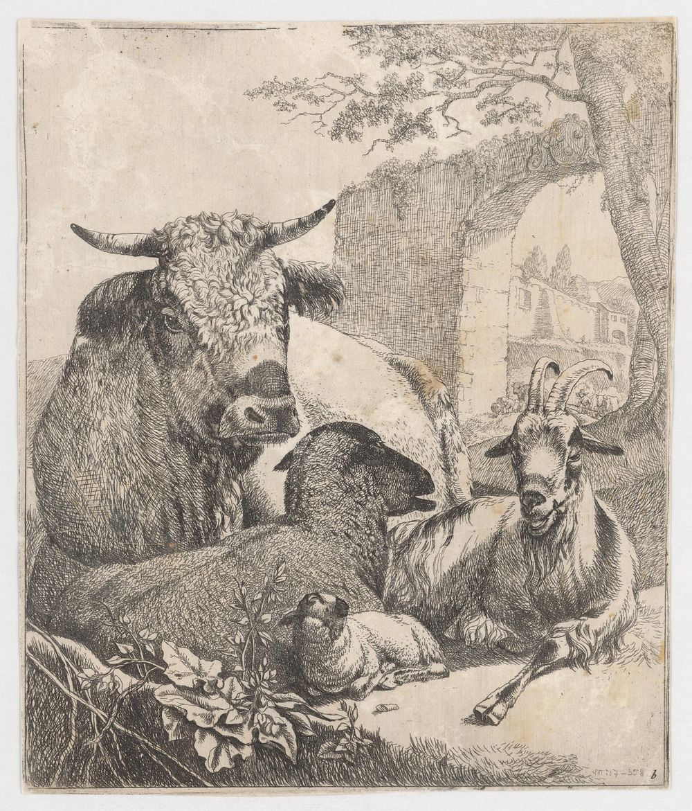 Sheep, Johann Heinrich Roos