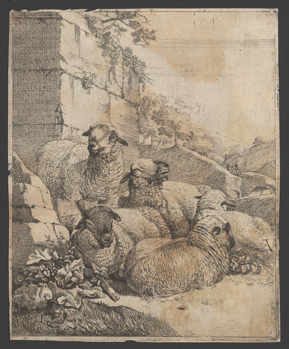 Flock of sheep, Johann Heinrich Roos