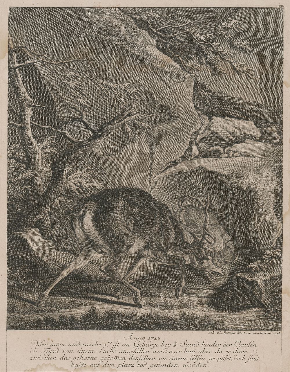 A deer attacked by a lynx, Johann Elias Ridinger