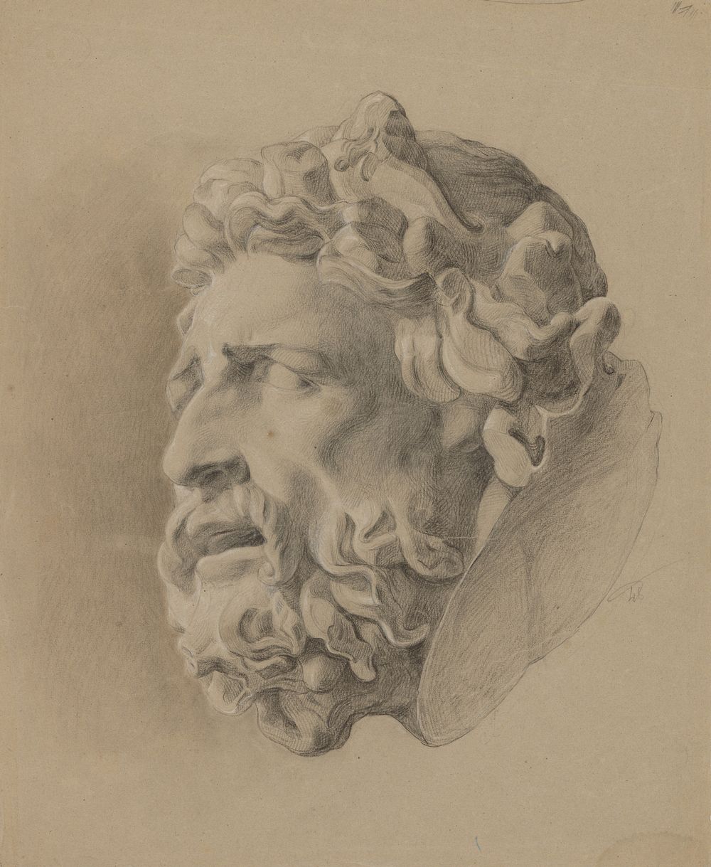 Study of a man with beard according to plaster cast  by Friedrich Carl von Scheidlin