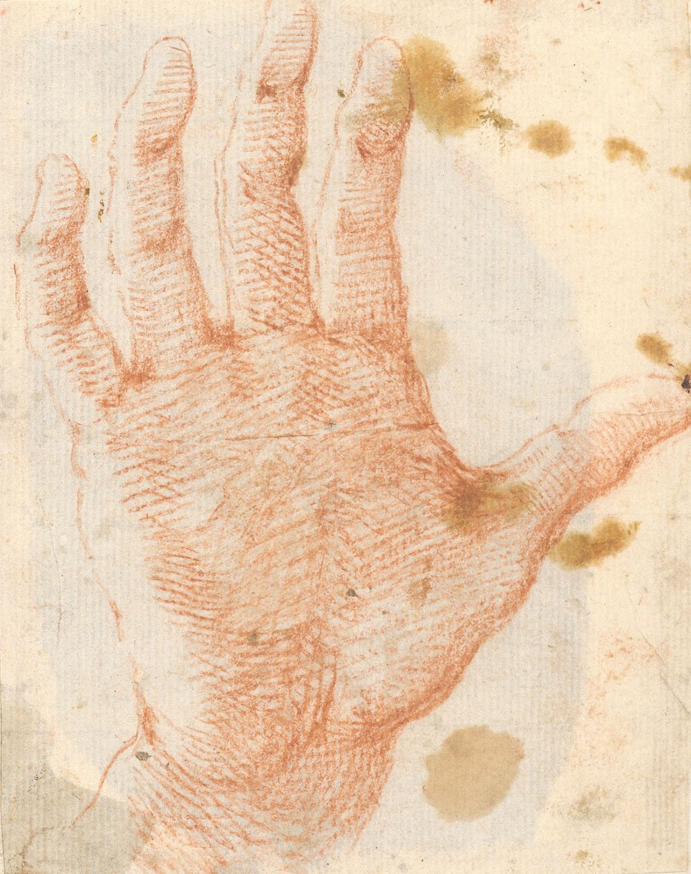 Study of open right hand