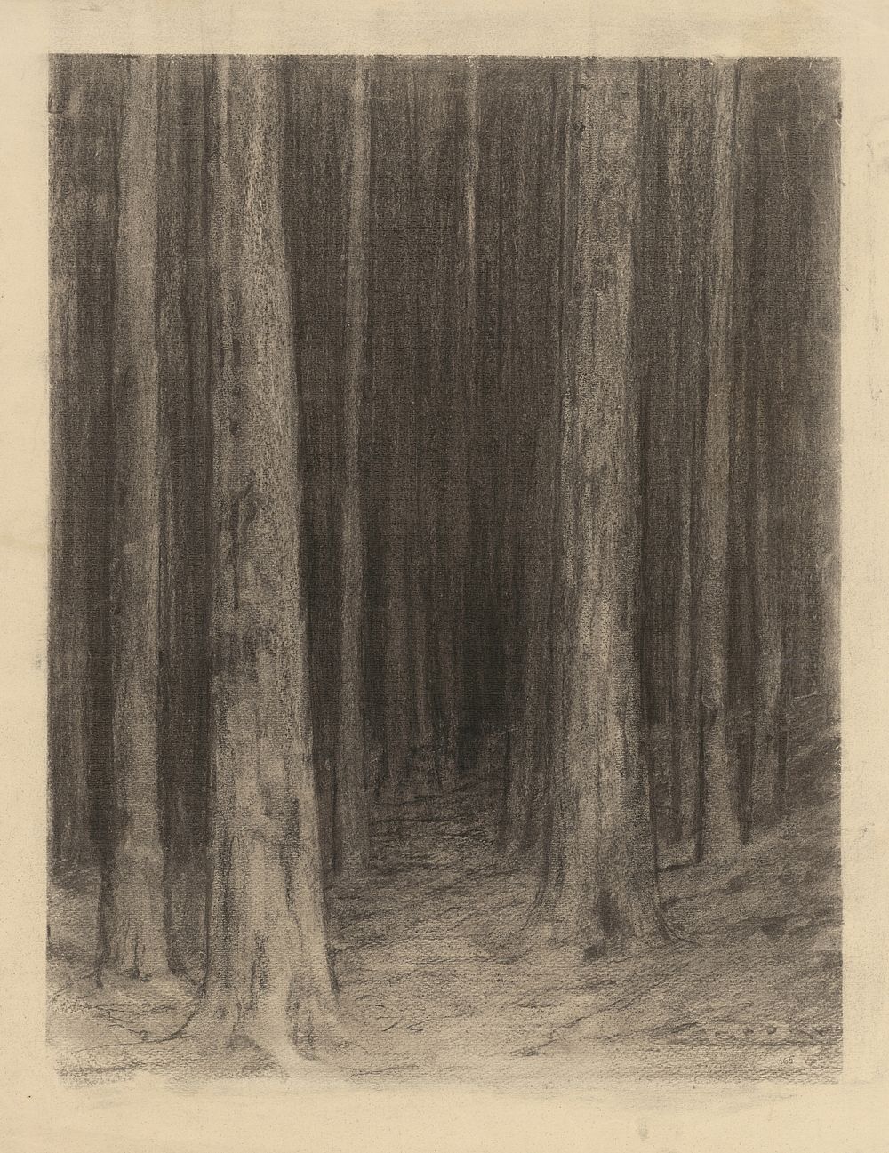 Forest gloom by Lajos Csordák