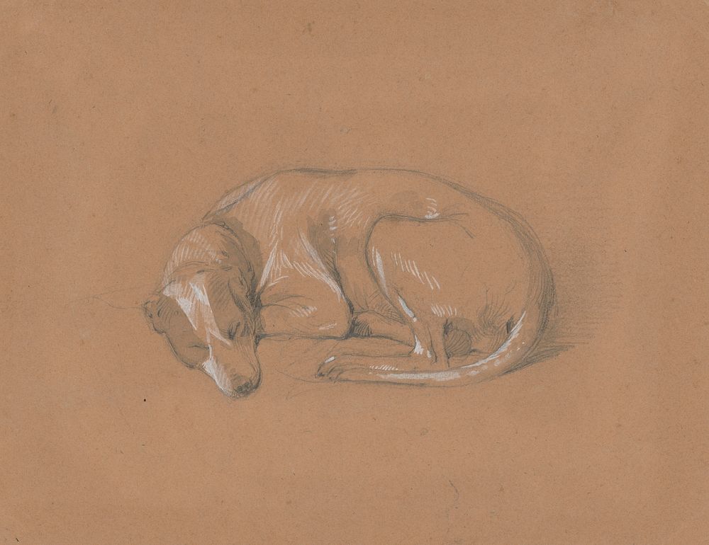 Sleeping dog by Friedrich Carl von Scheidlin by Friedrich Carl von Scheidlin