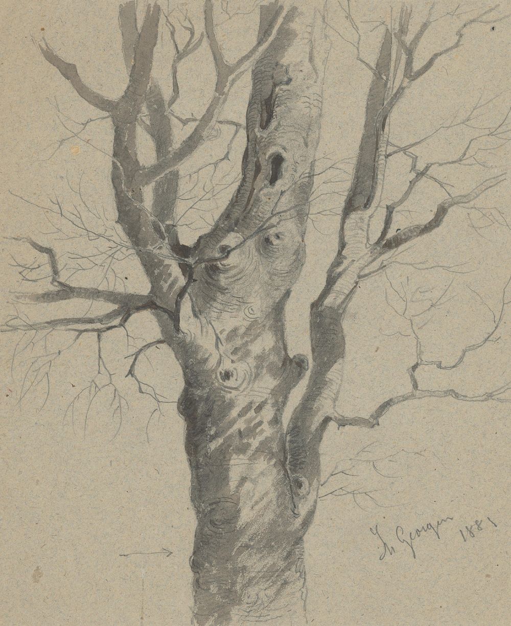 Study of a knotted tree trunk  by Friedrich Carl von Scheidlin