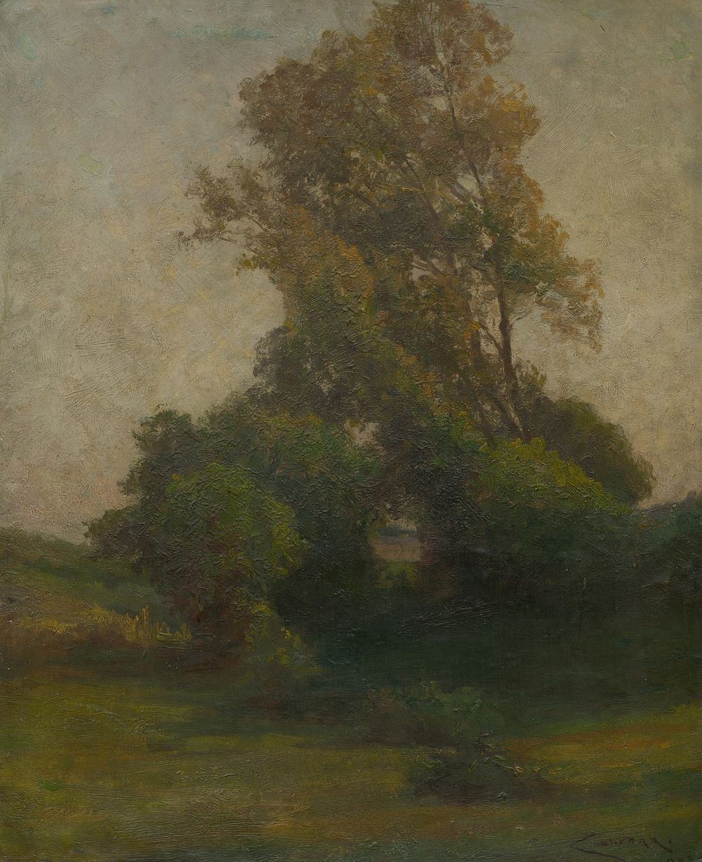 A tree in the landscape by Lajos Csordák