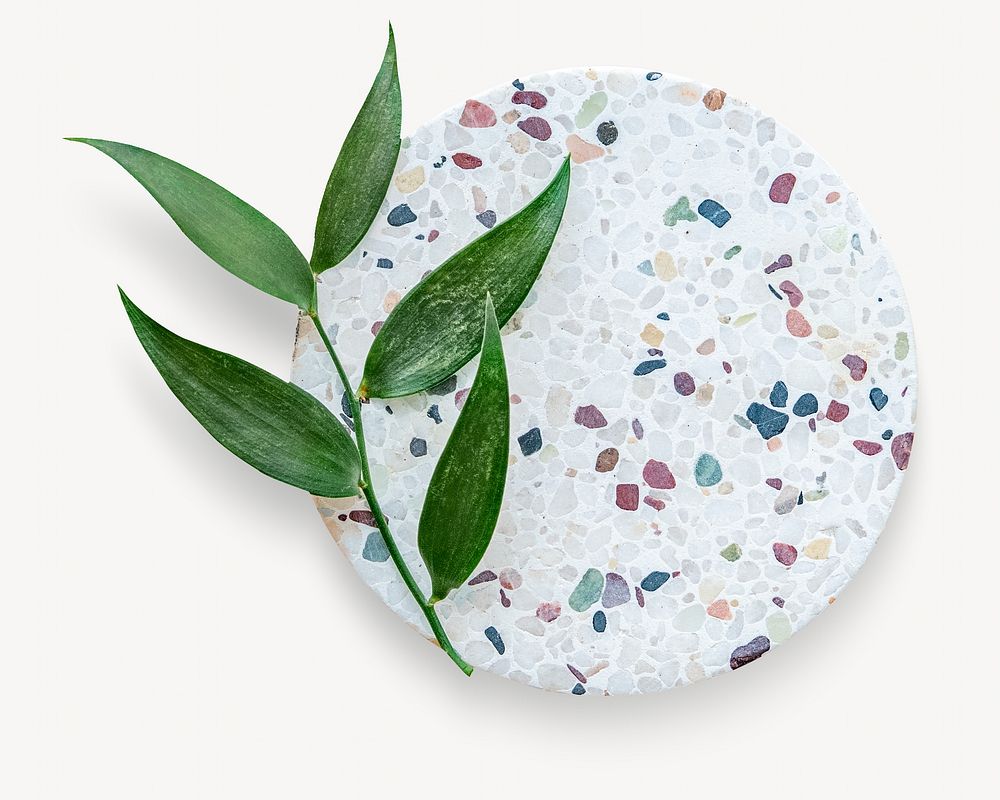 Terrazzo dish & leaf isolated image