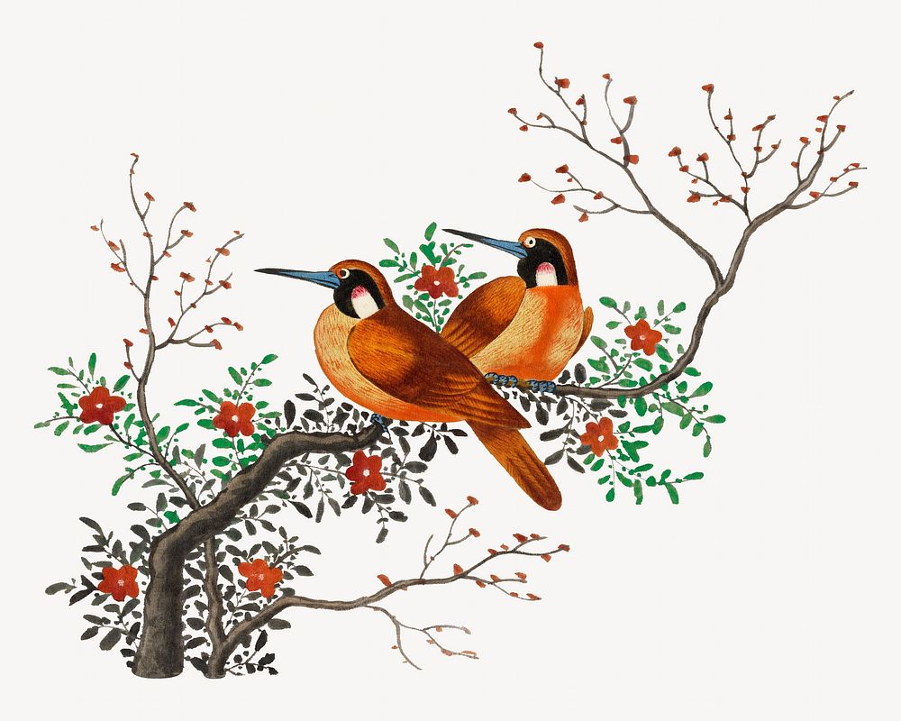 Birds on tree branch bird, vintage animal illustration