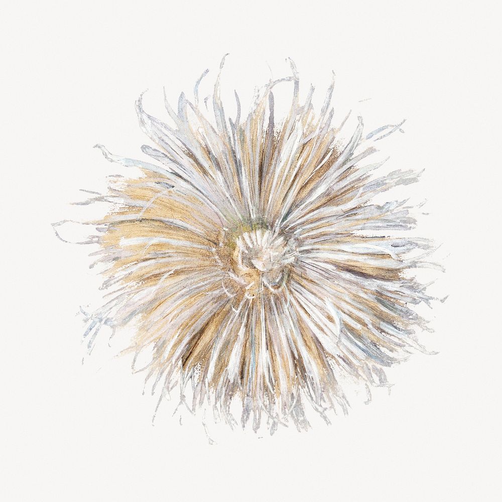 Piet Mondrian&rsquo;s Chrysanthemum, flower illustration. Remixed by rawpixel.