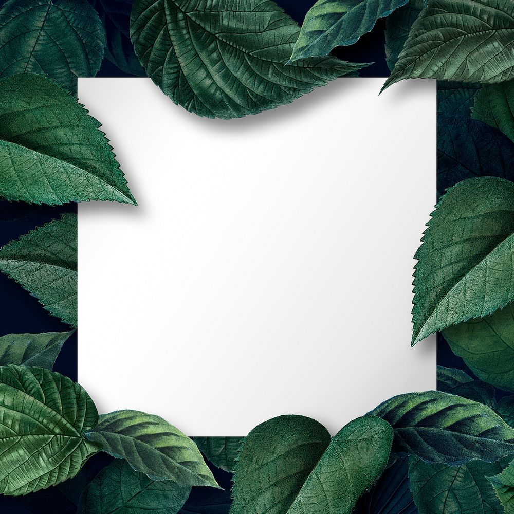White square poster on a leafy background illustration