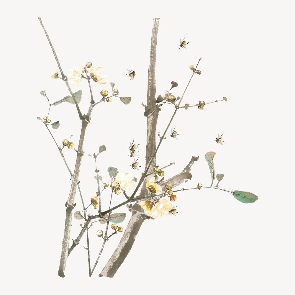 Chinese vintage flower branch, botanical illustration by Ju Lian.  Remixed by rawpixel.