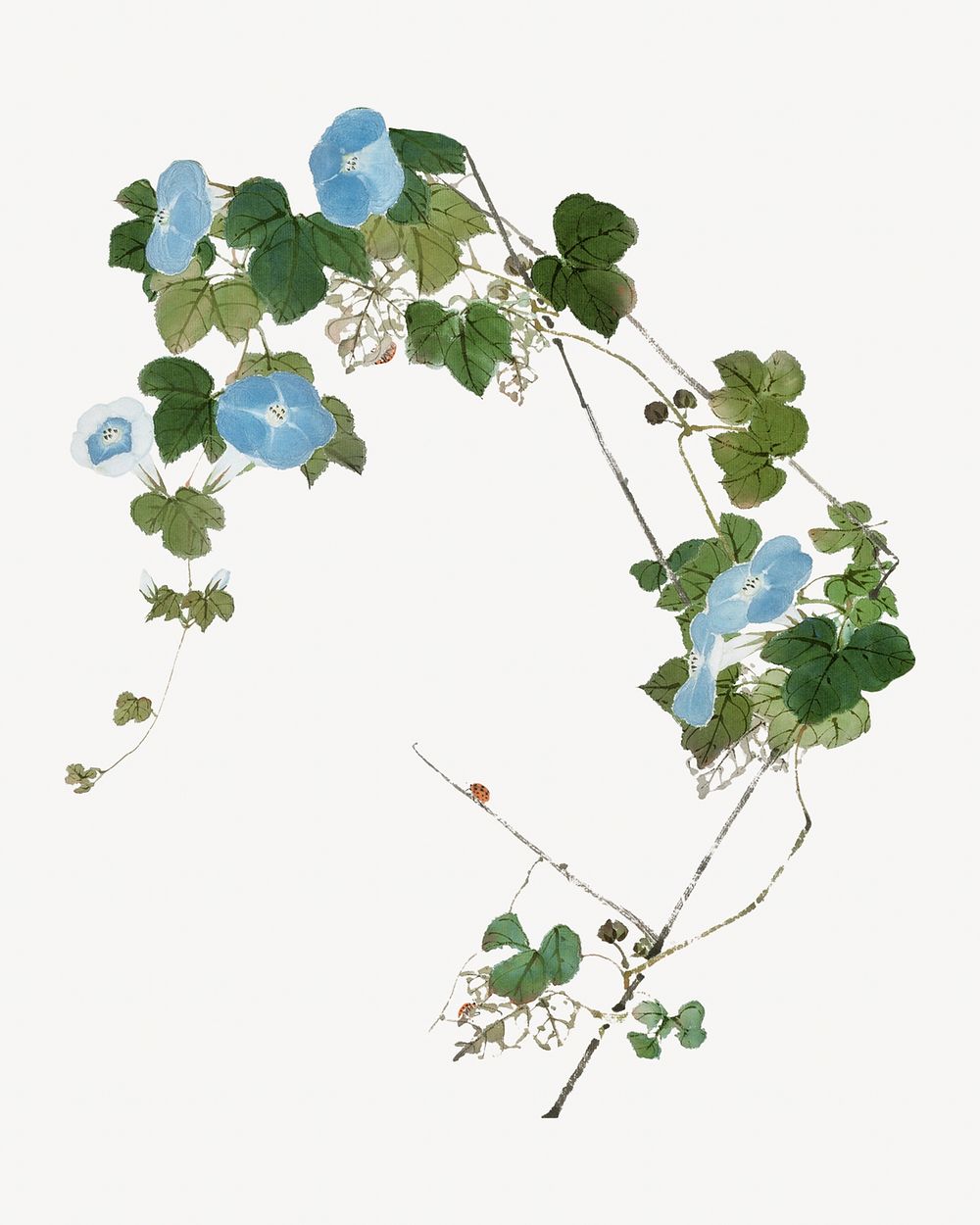 Blue Chinese flower, botanical illustration by Ju Lian.  Remixed by rawpixel.