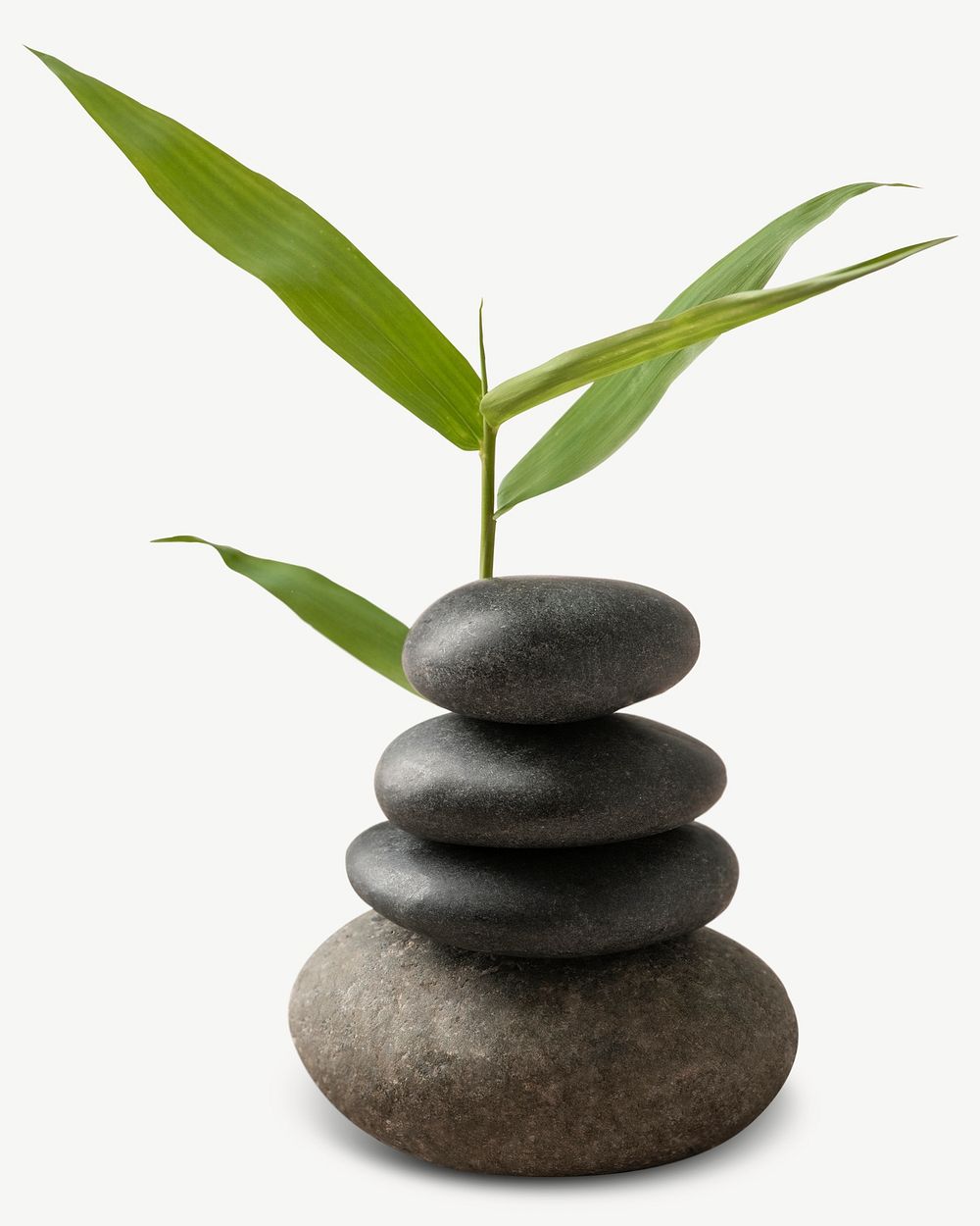 Zen stones & leaf collage element psd