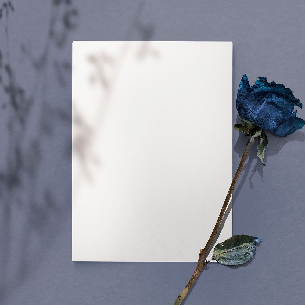 White card with dried blue rose on a blue background
