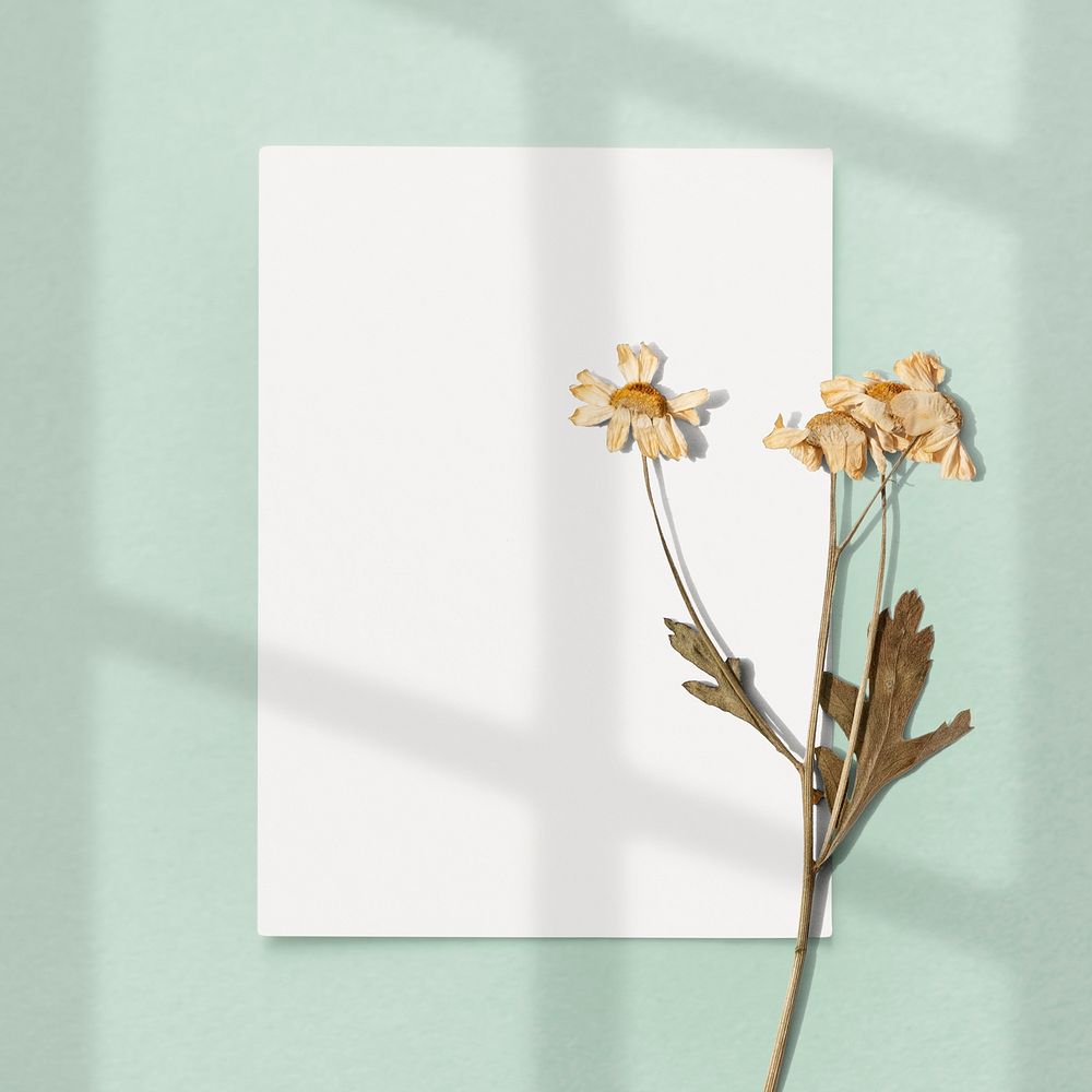 Blank white paper with dried flower on a green background