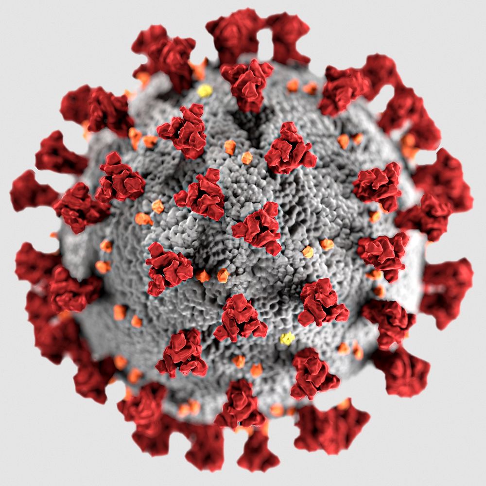 Coronavirus ultra structural illustration