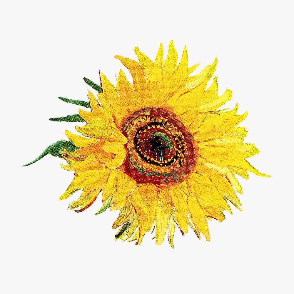 Van Gogh's sunflower collage element psd. Remixed by rawpixel.