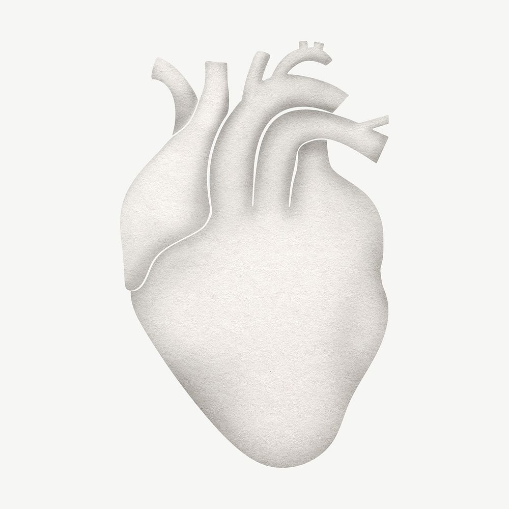 Human heart, white paper collage psd